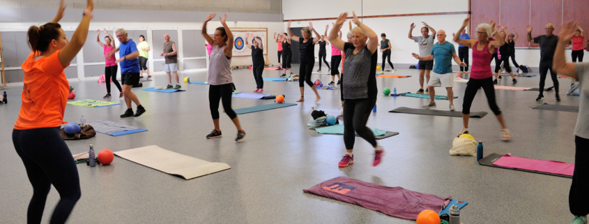 Gym fitness 1 : Gym tonique ou d'entretien