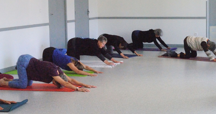 Hatha Yoga avec Julie