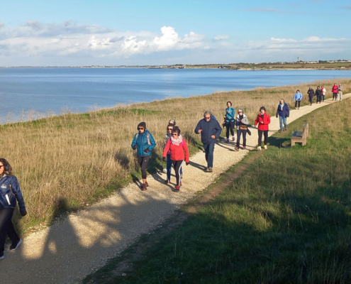 Marche japonaise en musique avec Brigitte