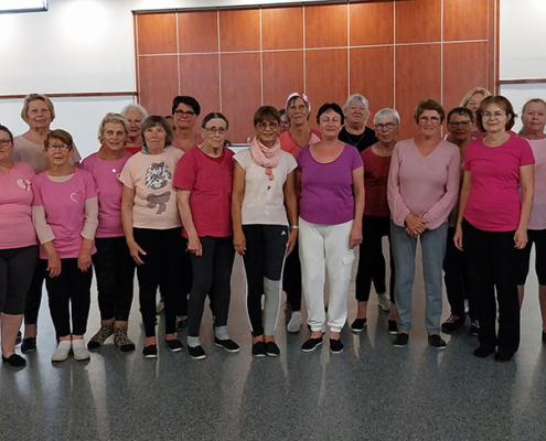 Octobre rose 2026 : groupe Gym Harmonique animé par Nelly (1/2) Octobre rose 2026 : groupe Gym Harmonique animé par Nelly (1/2)